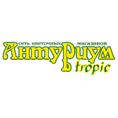 Антуриум Tropic, сеть цветочных магазинов