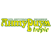 Антуриум Tropic, сеть цветочных магазинов