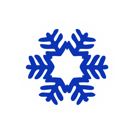 ООО АЙС-Групп