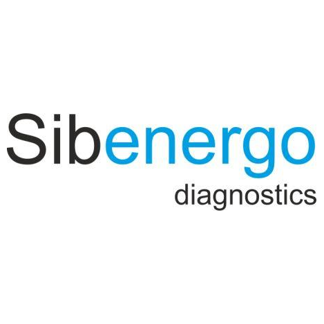 Сибэнергодиагностика