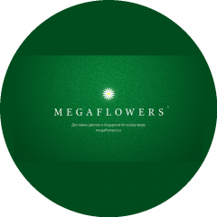 Megaflowers