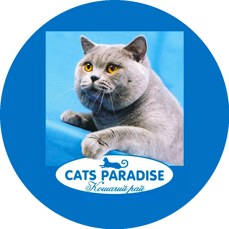 Cats Paradise