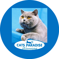 Cats Paradise