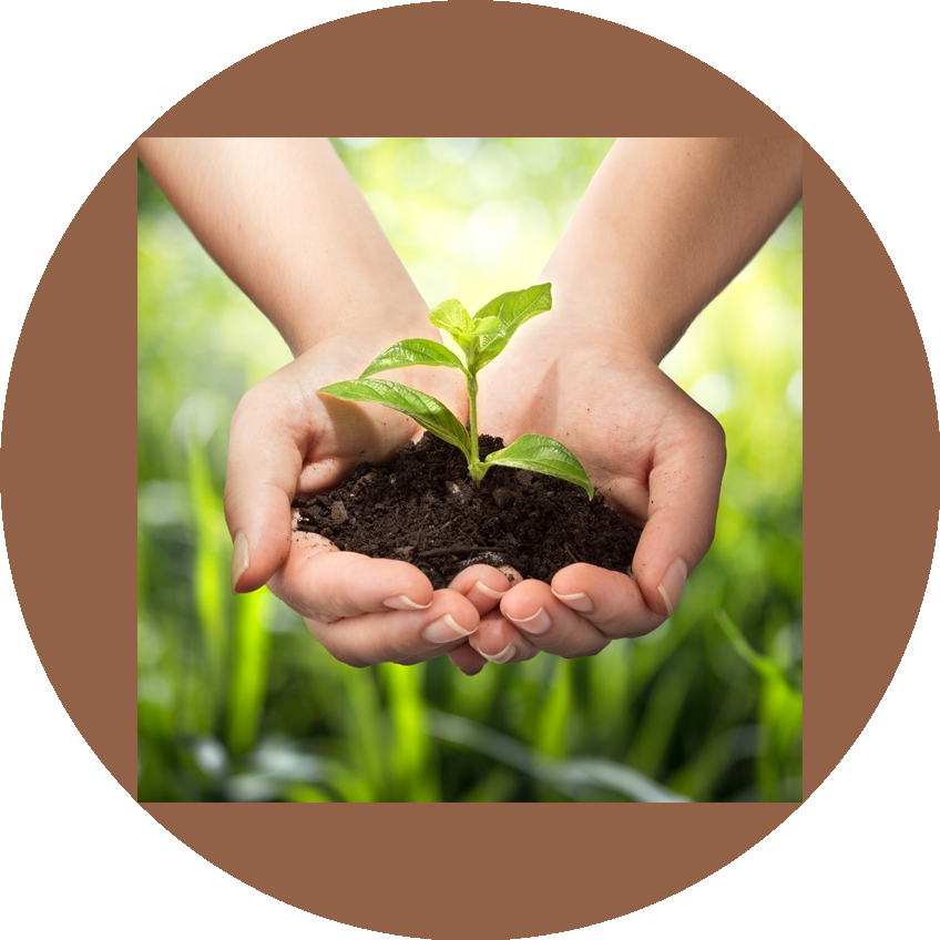 Садовый центр