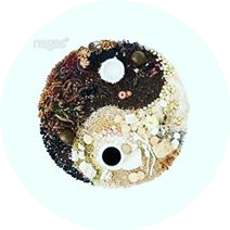 Центр китайской медицины