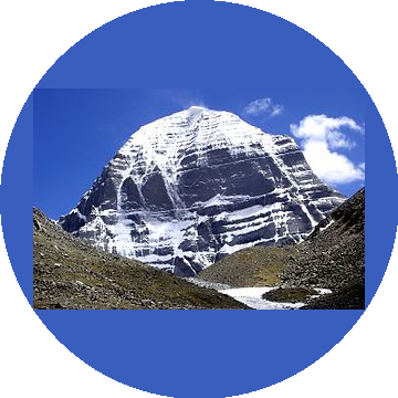 УК Служба управления недвижимостью