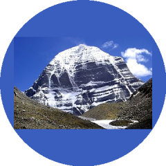 УК Служба управления недвижимостью