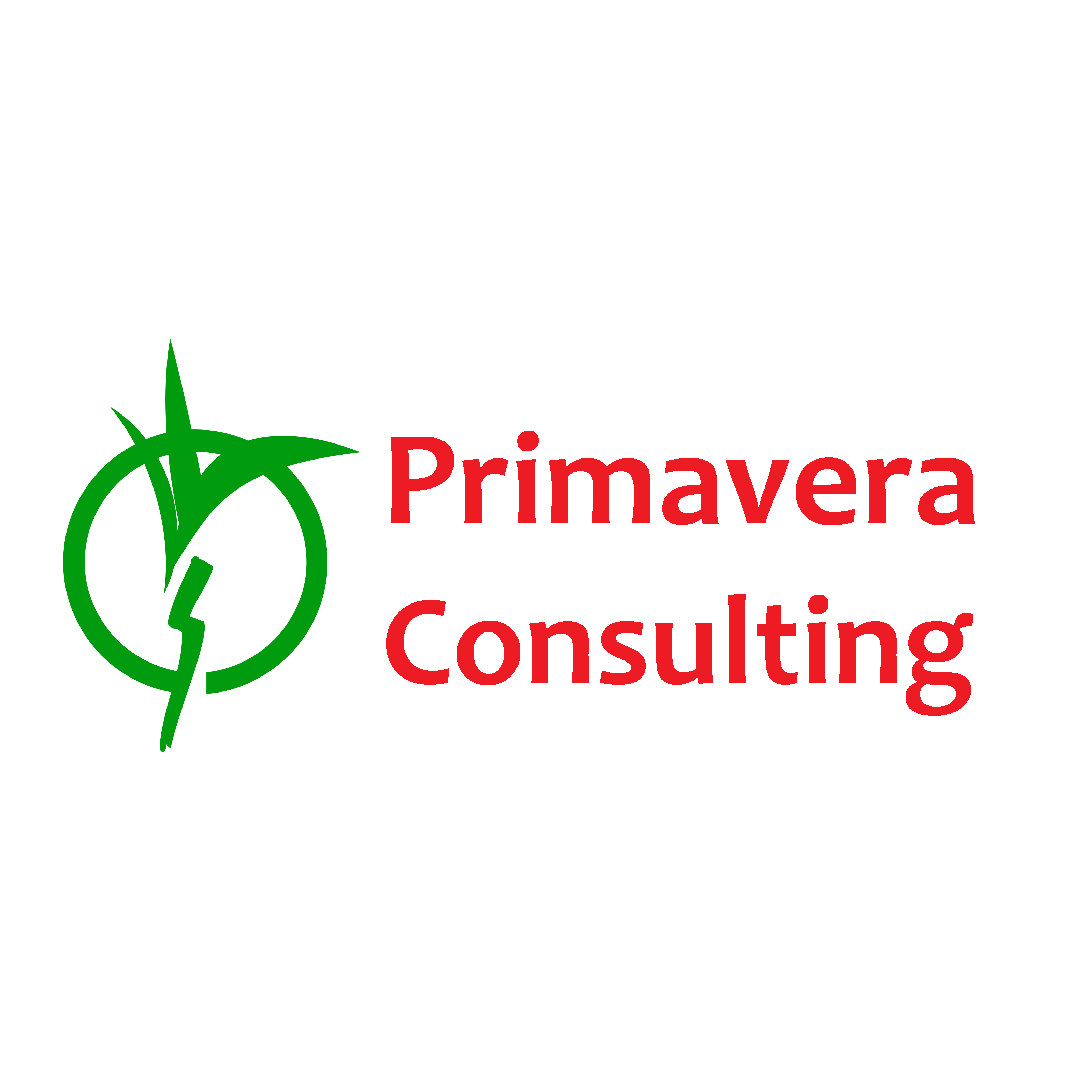 Примавера Консалтинг