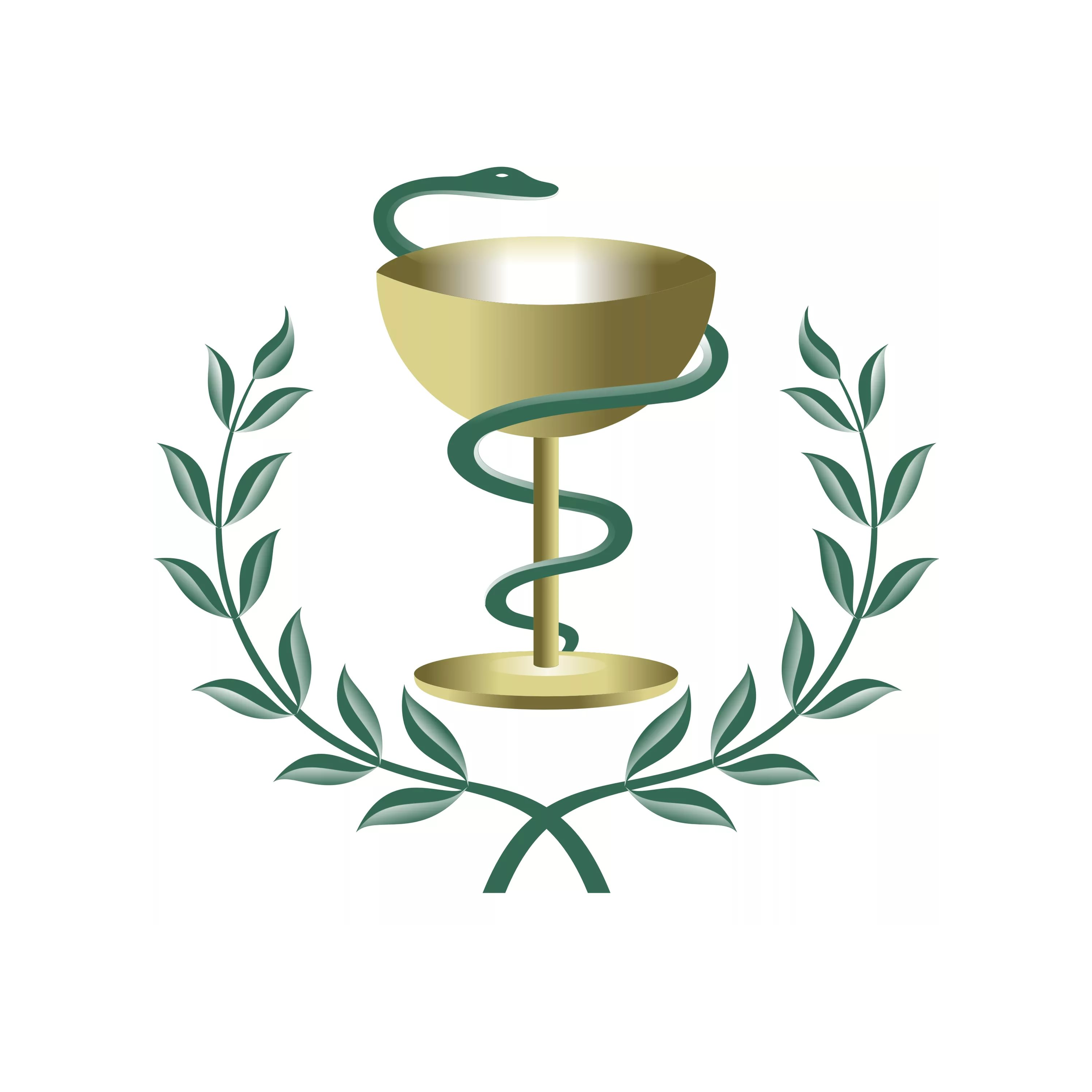 Муниципальное бюджетное учреждение здравоохранения городская клиническая поликлиника №5