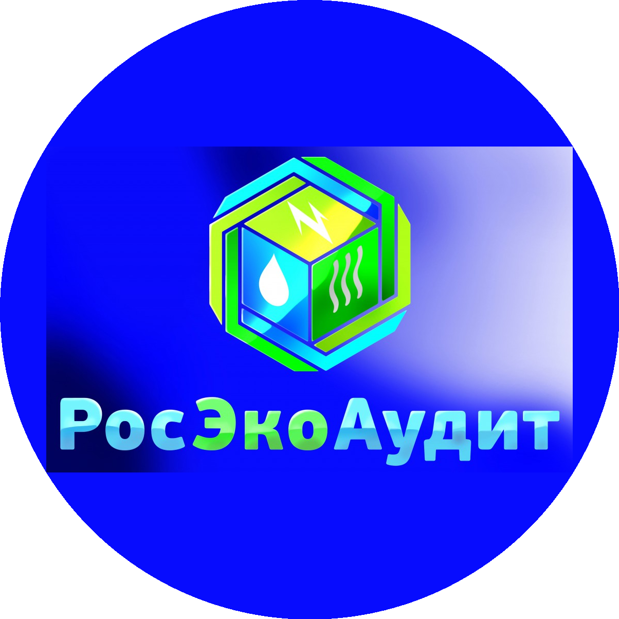 ООО РосЭкоАудит