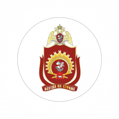 Пермский военный институт войск национальной гвардии Российской Федерации