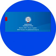 Филиал ФКУ Налог-Сервис ФНС России в Челябинской области