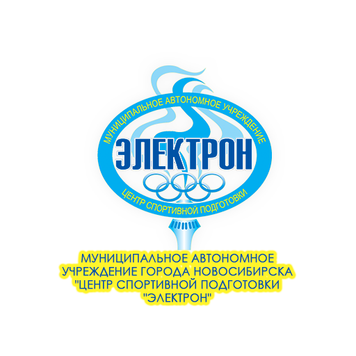 МАУ ЦСП Электрон