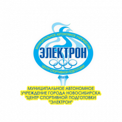МАУ ЦСП Электрон