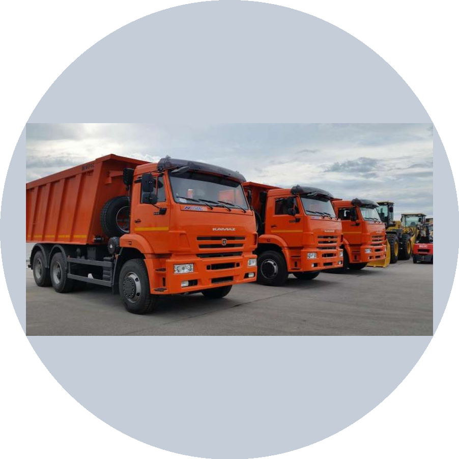 Общество с ограниченной ответственностью Альянс