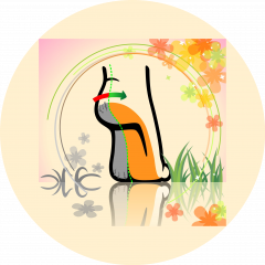 Центр подологии Стопа