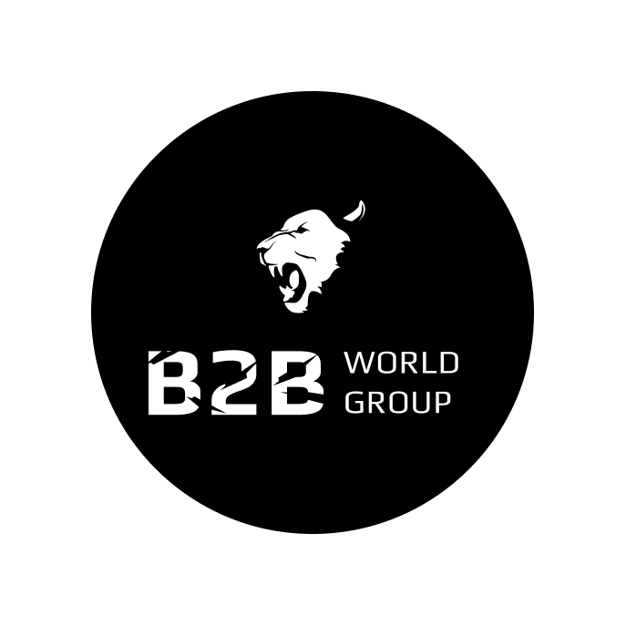 B2B WORLD GROUP