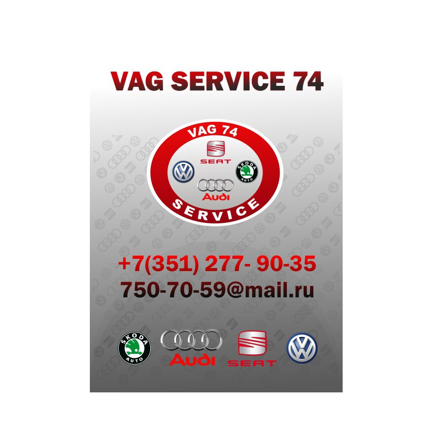 VAG Service