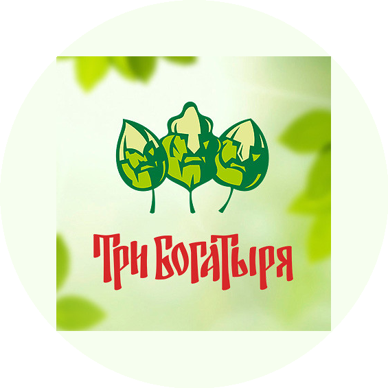 Банный комплекс Три Богатыря