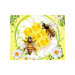 МБ ДОУ Детский сад № 10