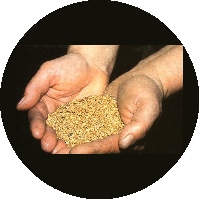 ООО Золотой Клондайк 78