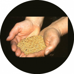 ООО Золотой Клондайк 78