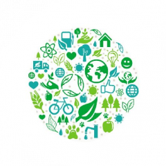 ООО Единый Центр Утилизации