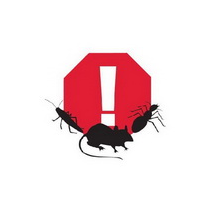 ООО СЭС Ансер