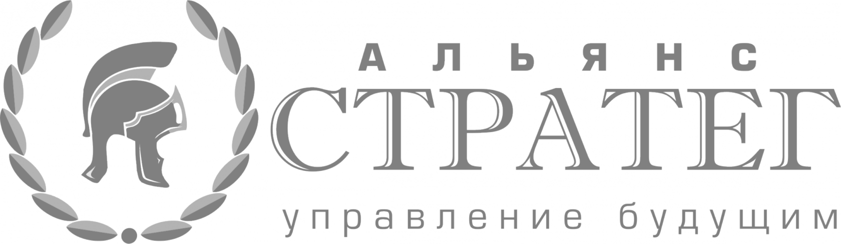 Компания Стратег
