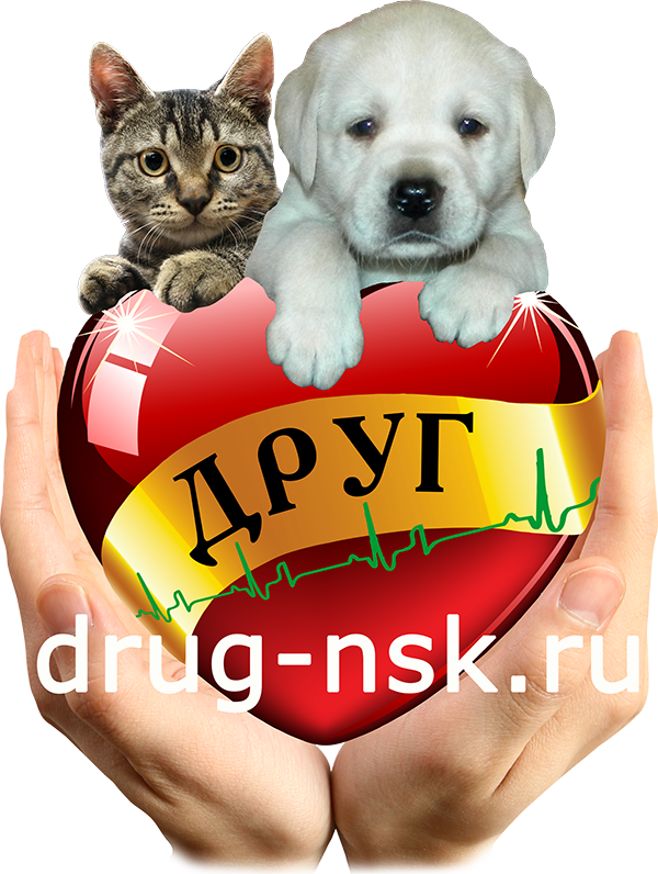 Ветеринарная эмблема. Ветеринарная клиника друг Новосибирск. Логотип ветклиники. Ветклиника друг Искитим. Ветеринара друг