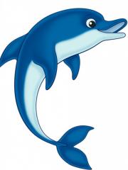 МКДОУ ЦРР детский сад 376