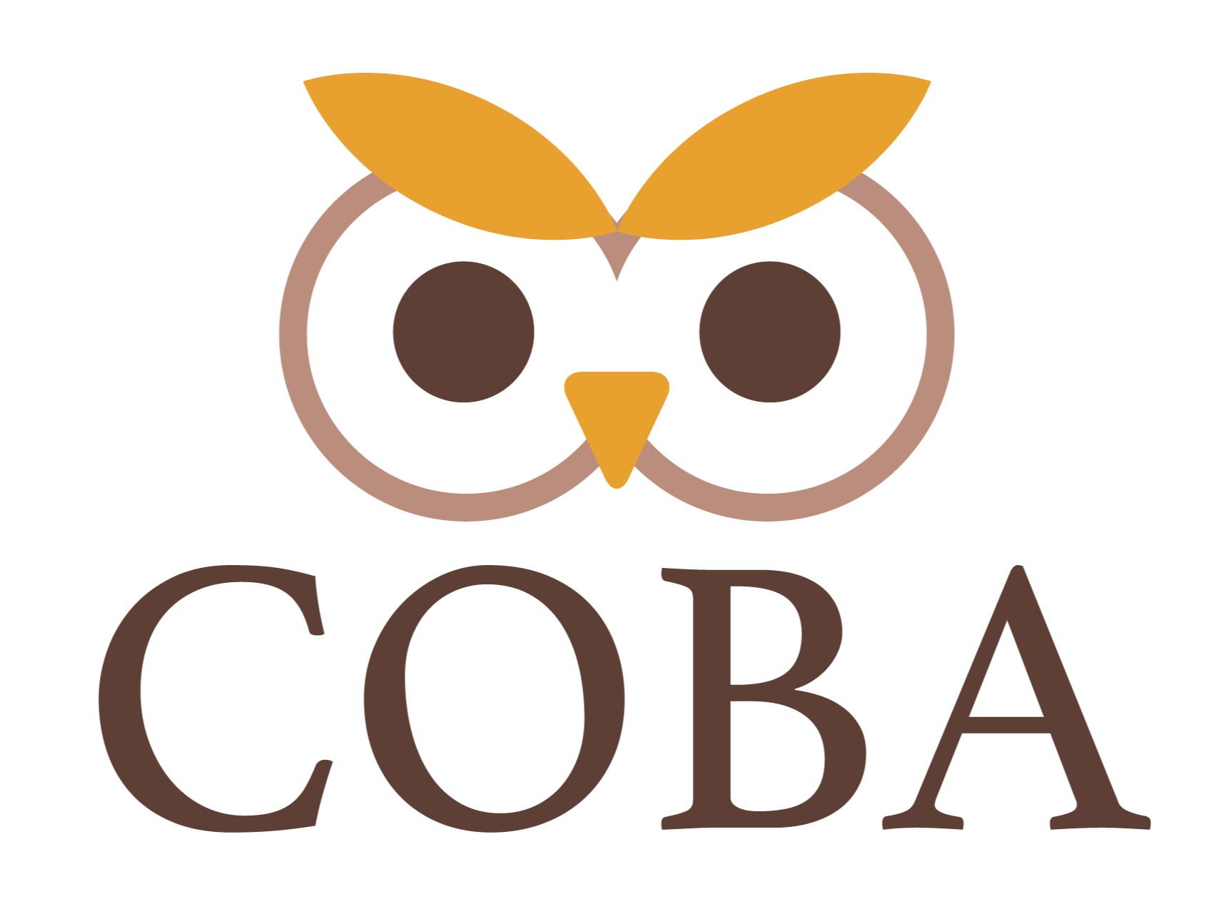 Магазин сова череповец. Сова красноярск. магазин сова. канцтовары логотип сова.
