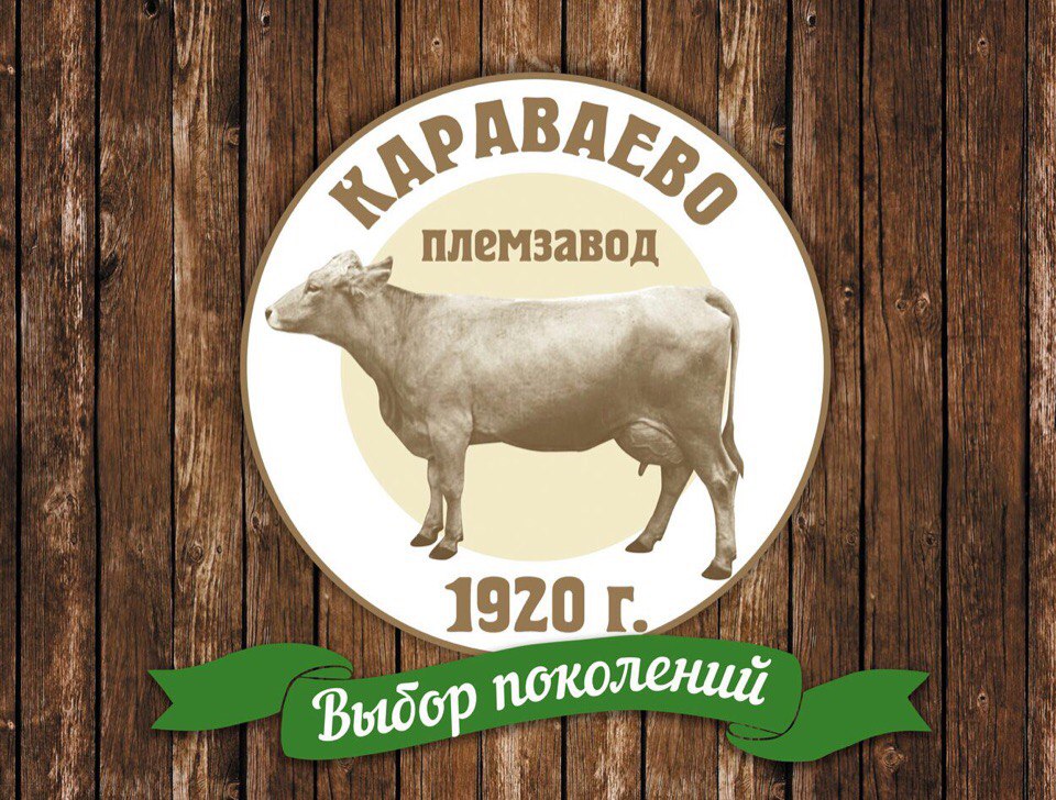 Племенной завод. ОАО Племзавод Караваево. Караваево Кострома. Караваево ферма Кострома.