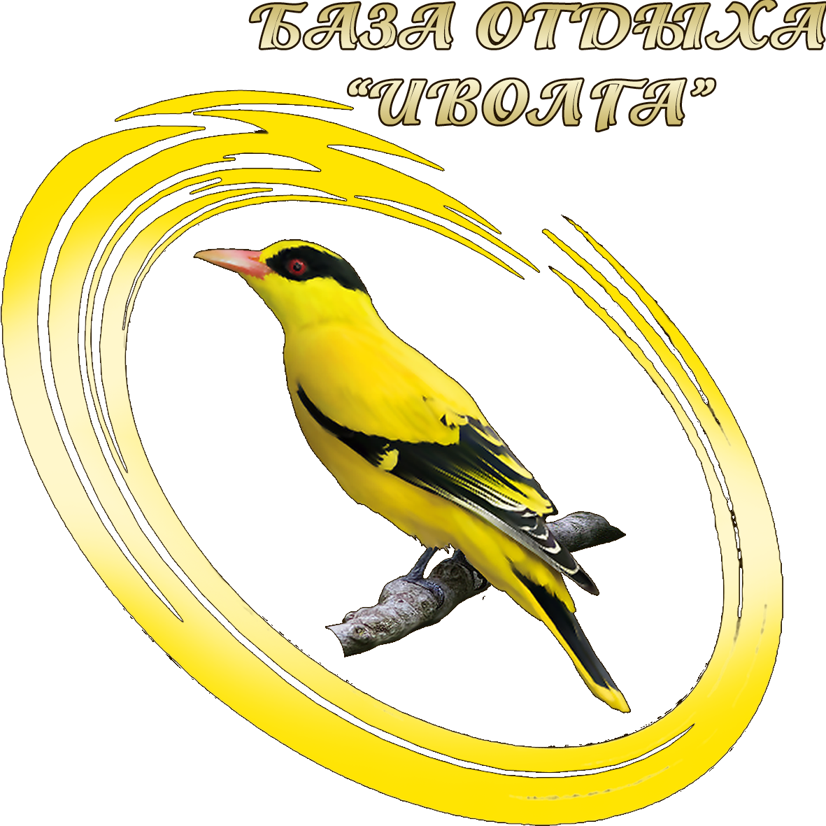 Иволга интернет магазин. Фирма Иволга. Иволга символ. Иволга Екатеринбург. Иволга арт.