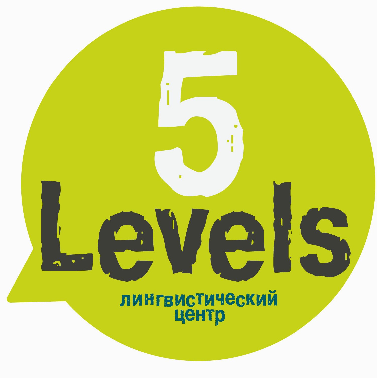 Level 5. Языковой центр. 5 Levels Москва. Level 5 logo. Level вакансии Москва.