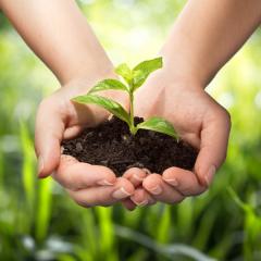 Садовый центр