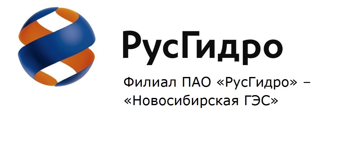 Портал русгидро. Новосибирская ГЭС логотип. РУСГИДРО Новосибирск. РУСГИДРО логотип. Транспортная компания РУСГИДРО логотип.