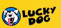 Luck клуб. Лаки доги. Собака Lucky. Lucky Dog логотип. Лаки лаки собачка.