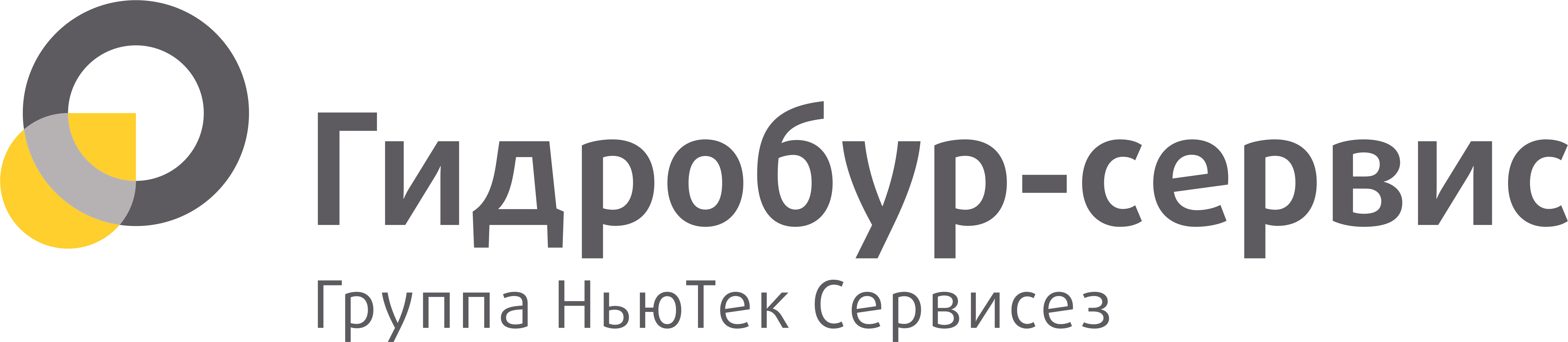 Логотип НЬЮТЕК Сервисез. Гидробур-сервис Нижневартовск. ГИДРОБУРСЕРВИС Пермь. ГИДРОБУРСЕРВИС Нижневартовск.