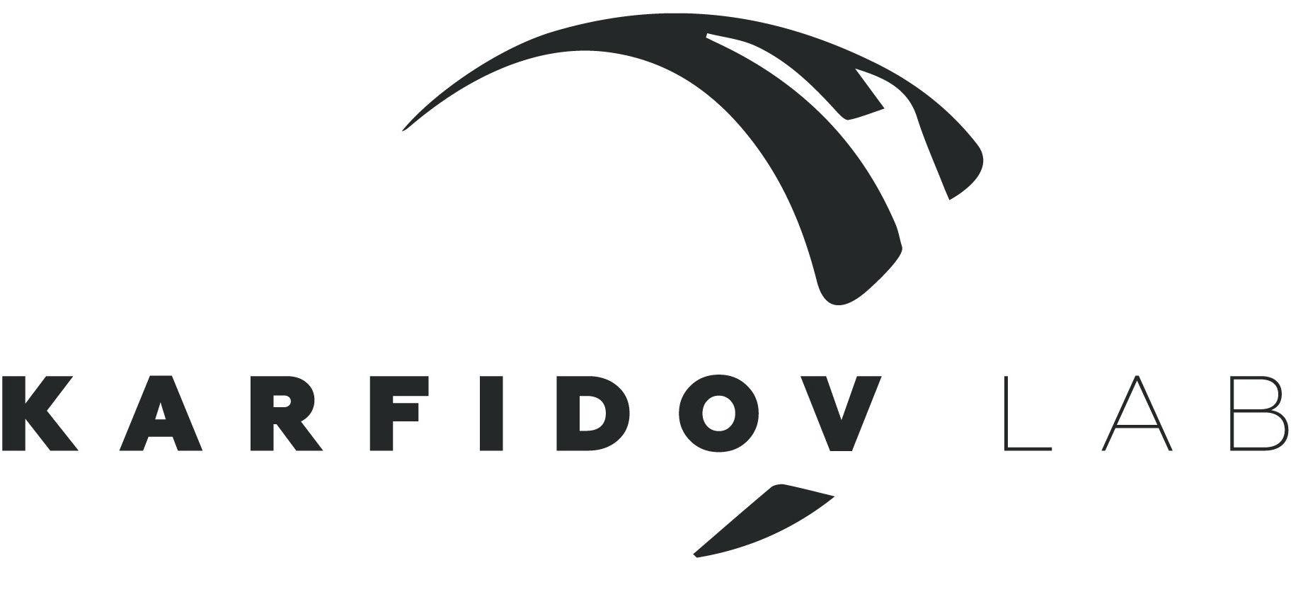 Карфидов лаб лого. Васильев михаил владимирович карфидов лаб. Карфидов лаб лого. Дмитрий васильев карфидов лаб. Алексей карфидов дизайнер.