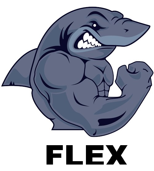 Фитнес-клуб FLEX