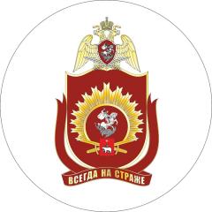 Пермский военный институт войск национальной гвардии Российской Федерации