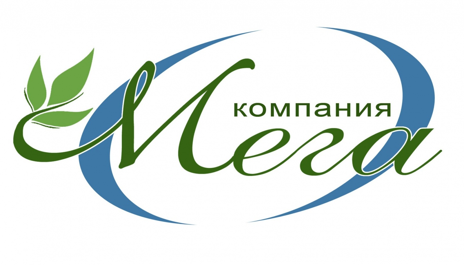 Компания мег