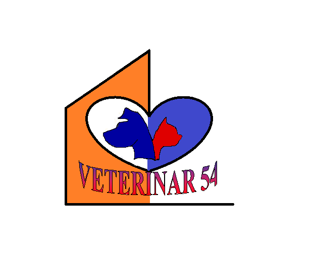 Ветеринарная клиника VETERINAR 54