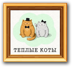 Теплые коты слова. "Теплые коты", семейный бар-ресторан. Кафе теплые коты в Екатеринбурге. Теплые коты текст. Теплые коты Екатеринбург свадьба.