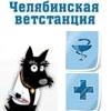 ОГБУ Челябинская ветстанция
